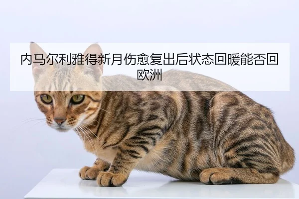 nei-ma-er-li-ya-de-xin-yue-shang-yu-fu-chu-hou-zhuang-tai-hui-nuan-neng-fou-hui-ou-zhou-2-445.jpg